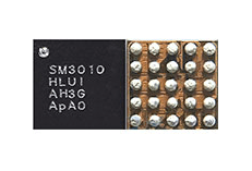 SM3010